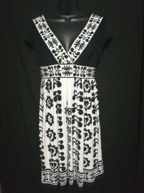 Maggy London Dress Fit Flare Sleeveless Size 4